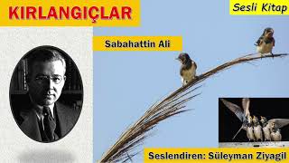 Kirlangiçlar - Sesli Öykü - Sabahattin Ali-