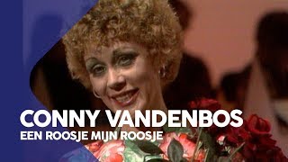 Watch Conny Vandenbos Een Roosje Mijn Roosje video