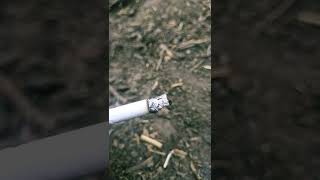 Subscribe. Command Like Video Viral
