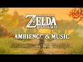 🍂 Akkala Rainy Sunset 🍂 Zelda Ambience & Optional Music