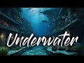 White Flow Underwater (Official VRChat Music Video)