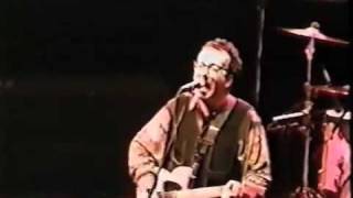 Watch Elvis Costello Shallow Grave video