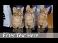 Bokep Japan 2014 Asian Hot Girl Funny Animal Youtube Bokep Japan 2014 Asian Hot Girl Funny Animal Youtube