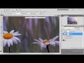 Видео уроки по работе с Photoshop. (Елена Минакова) Видео уроки по работе с Photoshop. (Елена Минакова)