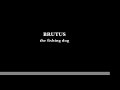 Brutus, the fishing dog