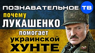 Почему Лукашенко помогает украинской хунте? (Познавательное ТВ, Евгений Фёдоров)