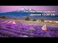 Тихое время с Живой Жизнью: Деяния 12:13–25 (04072018)