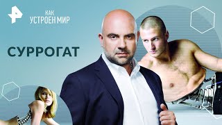 Суррогат — Как Устроен Мир С Тимофеем Баженовым | Рен Тв