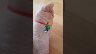 Bound Tiny On My Sole