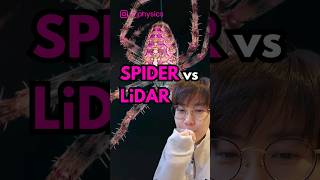 Physics Explains Spiders Behavior Lidar