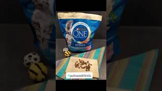 Découverte Des 𝑪𝒓𝒐𝒒𝒖𝒆𝒕𝒕𝒆𝒔 Purina One Bifensis 𝒑𝒐𝒖𝒓 𝒄𝒉𝒂𝒕𝒔 𝒔𝒕𝒆𝒓𝒊𝒍𝒊𝒔𝒆𝒔 Purina One