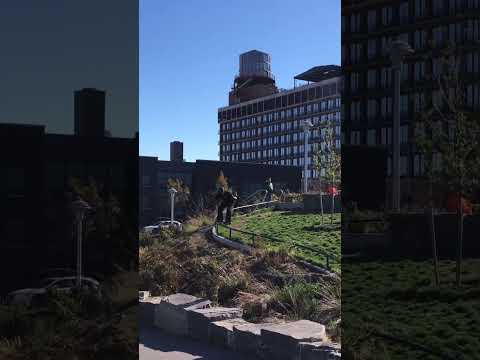 BROOKLYN S RAIL GETS SLAYED #SHORTS