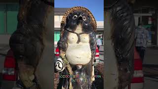 The Tanuki Means Rac Is Symbol Of Good Luck Of Fortune Isnt Cute Or Weird