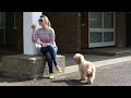 Happy: Blowing Bubbles with Dexter the Dog!