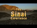 The Sinai Experience