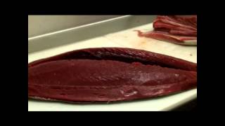 Fresh Tuna - Wholesale Seafood Distributor - Jacksonville, FL