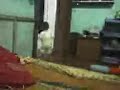 Anak Kecil Sudah Pinter images Anak Kecil Sudah Pinter