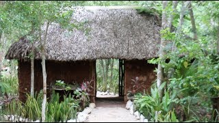 Exploring Mayan Culture in the Riviera Maya — Mexico Travel Vlog #35 Exploring Mayan Culture in the Riviera Maya — Mexico Travel Vlog #35