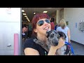 Another Wonderful Adoption at The Always Adopt Event June 1st