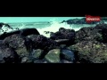 The Dewarists - No I.D. Required