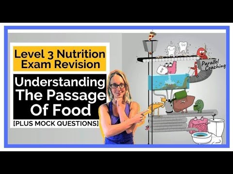 Understanding The Passage Of Food