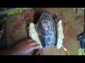 molding