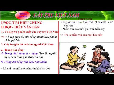 K6 TUẦN 24 VĂN BẢN CÂY TRE VIỆT NAM