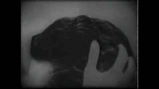 Vintage 1958 Brylcreem Hair Gunk Commercial