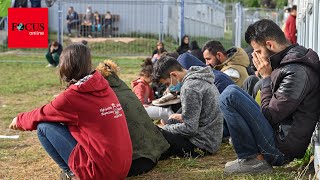 Staat zahlt Hunderttausenden arbeitsfähigen Flüchtlingen Bürgergeld - 436 Millio