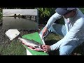 How To Fillet & Package a Wild King Salmon (Chinook)