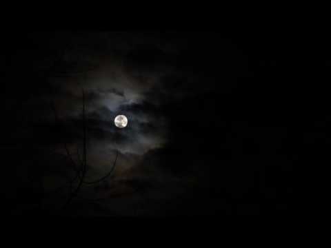 Strung Short Video