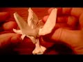 1 - Origami Wasp Designed By Anibal Voyer + FREE DIAGRAMS