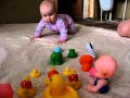 Прогноз пола ребенка Расчетный год зачатия Причины выкидыша на 6 неделе беременности. 6 недель беременности