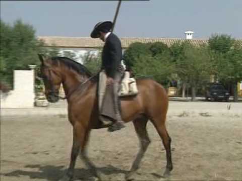 DOMA VAQUERA DE CABALLOS doma vaquera de caballos: