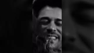 Videohoi Oshiqi
