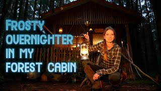 Frosty Overnight Stay In A Off Grid Hidden Forest Hut Felling Tree Botany Cooking