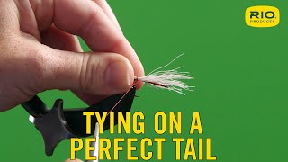 Tying On The Perfect Tail
