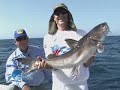 Video de Bagre gigante capturado no litoral catarinense, durante a filmagem do programa pesca dinamica na tv