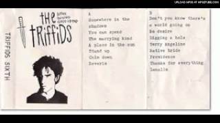 Watch Triffids Place In The Sun video