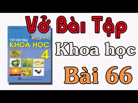 VỞ BÀI TẬP KHOA HỌC LỚP 4 BÀI 66 CHUỖI THỨC ĂN TRONG TỰ NHIÊN