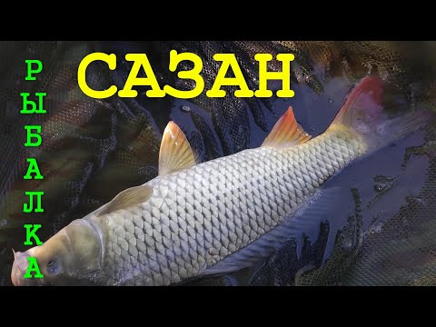 моя рыбалка бесплатный просмотр моя рыбалка бесплатный просмотр