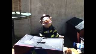 The great puppet show