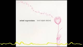 Orient Expressions feat Berin Koç – Su Gibi  (Kırık Kalpler Albümü/Record Of Bro