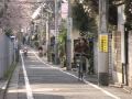 Solar powered bikes lure Japanese cyclers