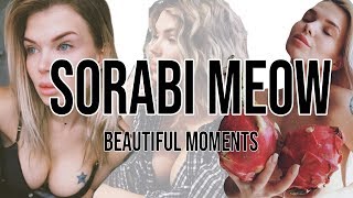 Sorabi Meow Beautiful And Y Moments