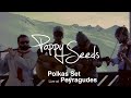 Poppy Seeds - Peyragudes - Polkas Set