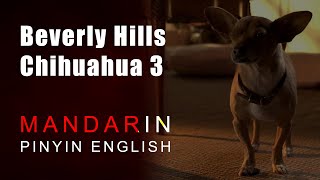 Beverly Hills Chihuahua 3 2012 All Bite And No Bark Mandarin Pinyin English