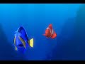 Finding Nemo School of Fish