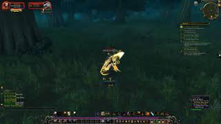 World of Warcraft 1-120 Grind Paladin Retribution Part 8