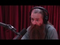 Joe Rogan Experience #638 - Aubrey de Grey